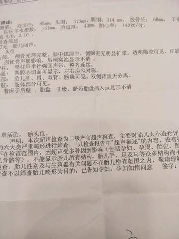 journal_insert_pic_878508194