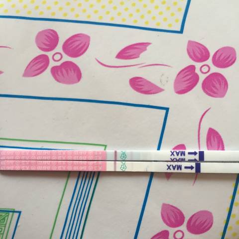 journal_insert_pic_878153678