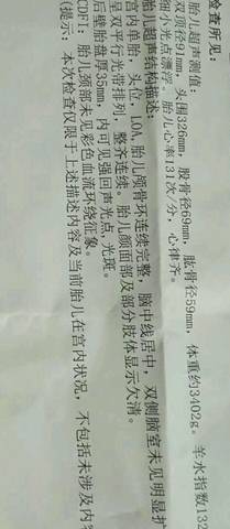 journal_insert_pic_880102028