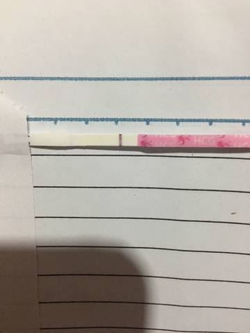 journal_insert_pic_880670814