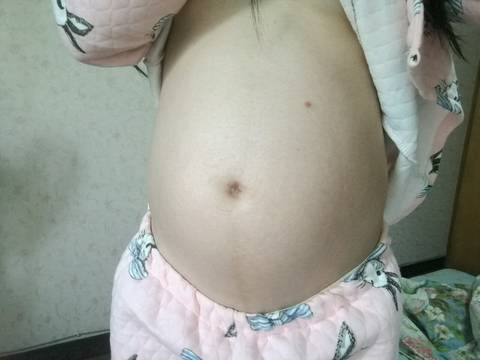 journal_insert_pic_880335093
