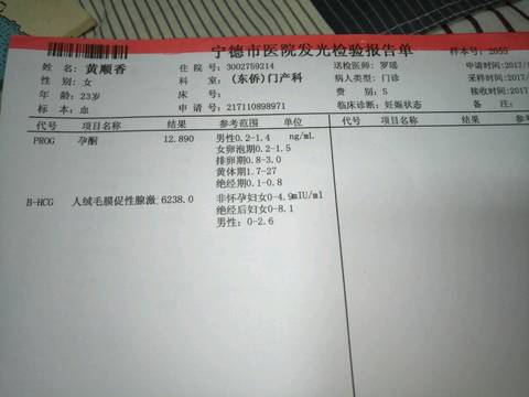 journal_insert_pic_881089122