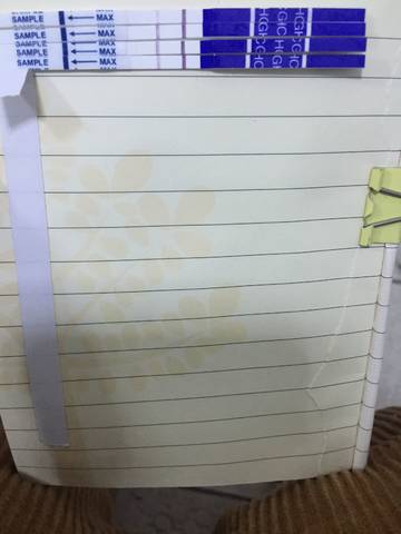 journal_insert_pic_881543961