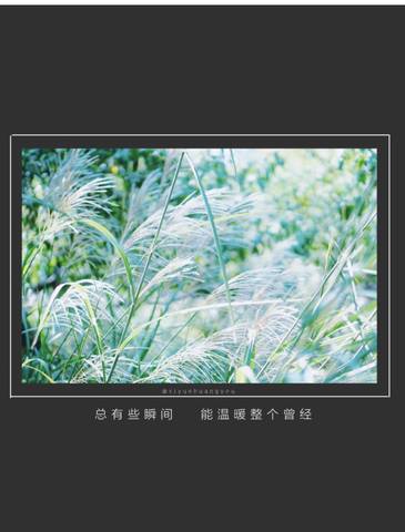 journal_insert_pic_882936508