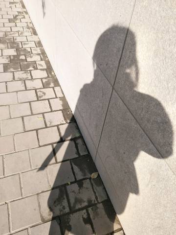 journal_insert_pic_886794040