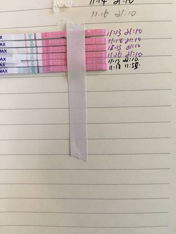 journal_insert_pic_886688025