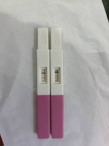 journal_insert_pic_887142033