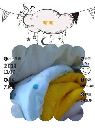 journal_insert_pic_886676606