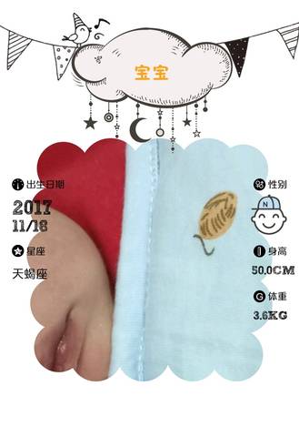 journal_insert_pic_887310056