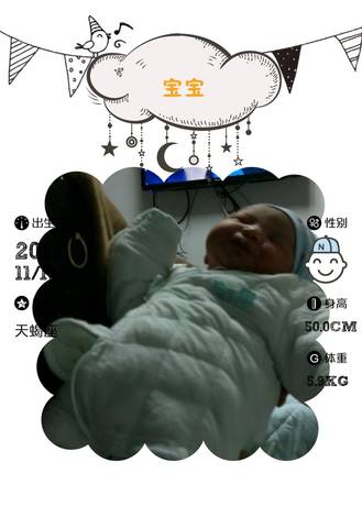 journal_insert_pic_887239481