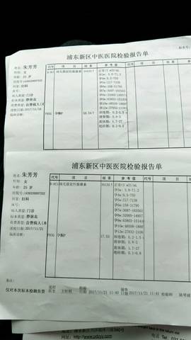 journal_insert_pic_888945620
