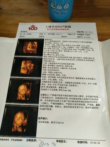 journal_insert_pic_889870154