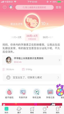 journal_insert_pic_889531478