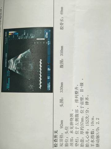 journal_insert_pic_889556191