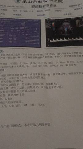 journal_insert_pic_890200002