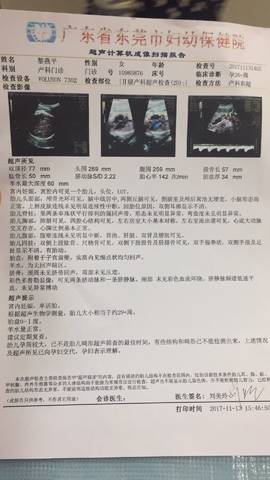 journal_insert_pic_890272591