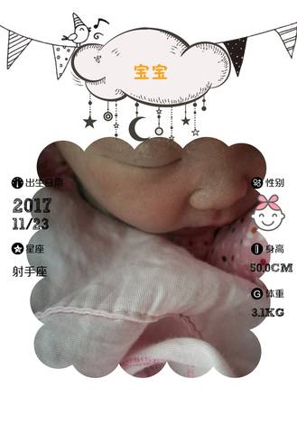 journal_insert_pic_890325737
