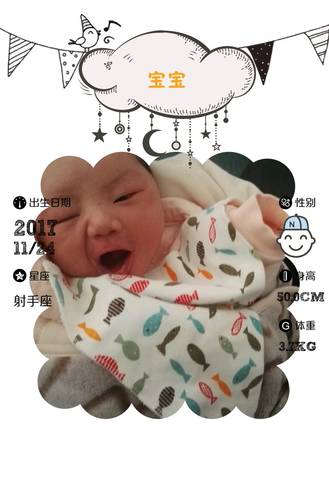 journal_insert_pic_890686345