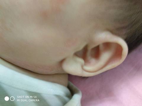 journal_insert_pic_891653010