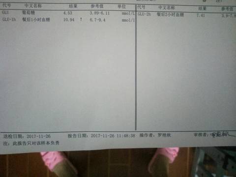 journal_insert_pic_891794609