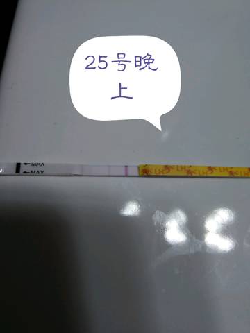 journal_insert_pic_891605517