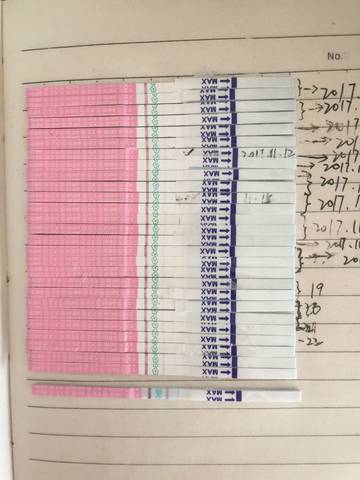 journal_insert_pic_892161206