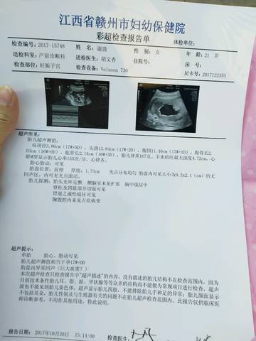 journal_insert_pic_892216050