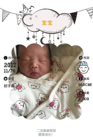 journal_insert_pic_893260902