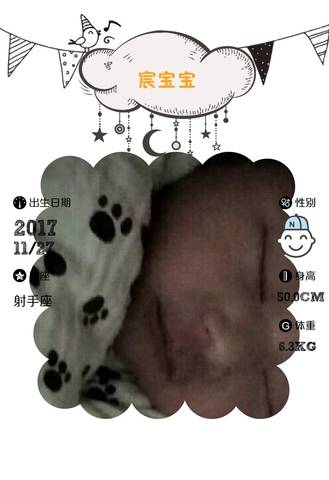 journal_insert_pic_893244319