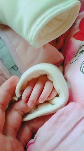 journal_insert_pic_894519302