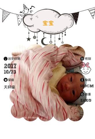 journal_insert_pic_894352981