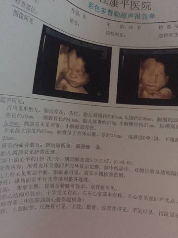 journal_insert_pic_894092965