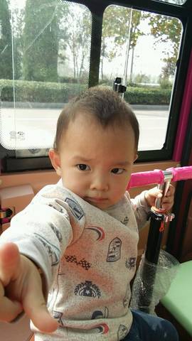 journal_insert_pic_895015826