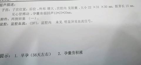 journal_insert_pic_894905758