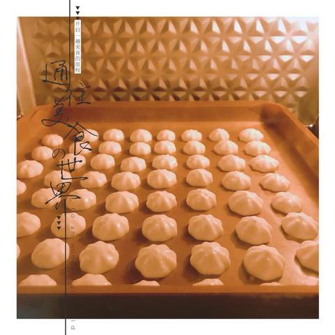 journal_insert_pic_895263553