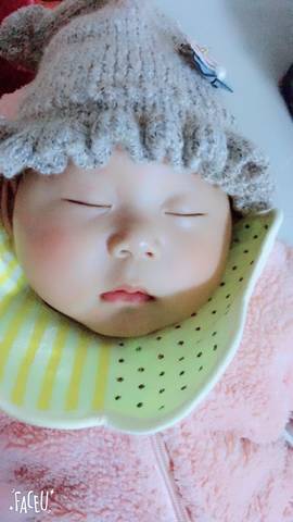 journal_insert_pic_895372786
