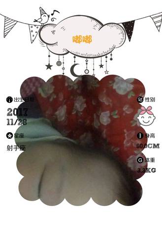 journal_insert_pic_895602149