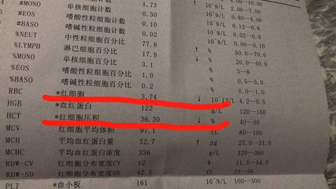 journal_insert_pic_895900149