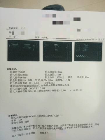 journal_insert_pic_896027745
