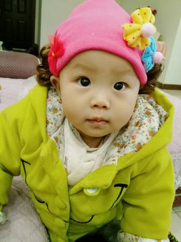journal_insert_pic_896630385