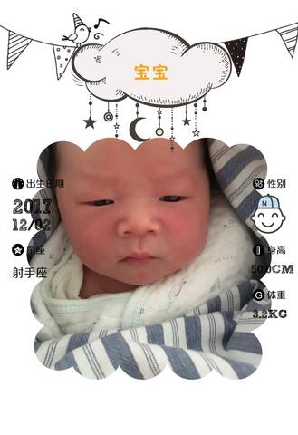 journal_insert_pic_896839779