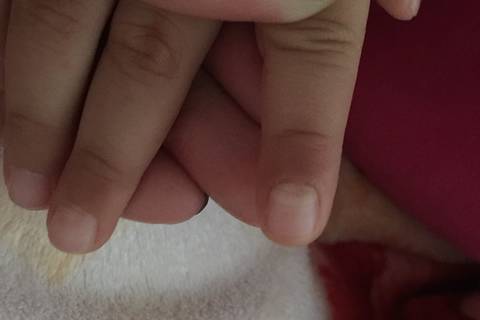 journal_insert_pic_898299744
