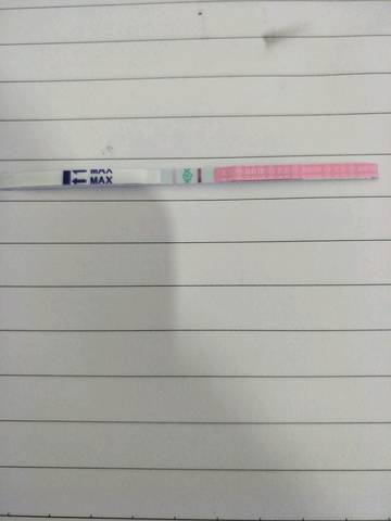 journal_insert_pic_897819308
