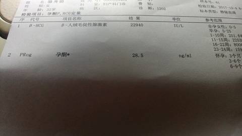 journal_insert_pic_897957563