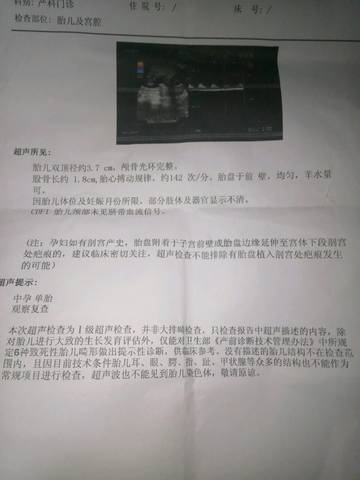 journal_insert_pic_898433222