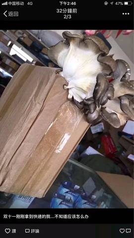 journal_insert_pic_898481615