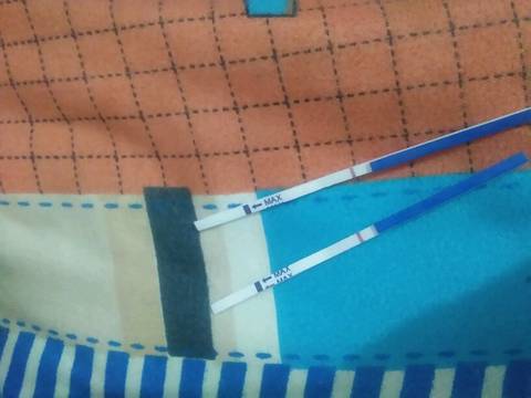 journal_insert_pic_900190638