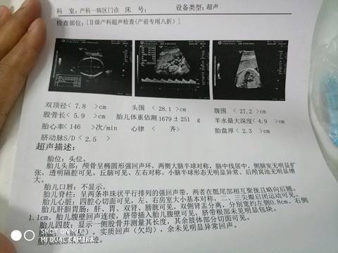 journal_insert_pic_900226992