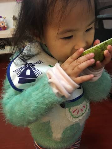 journal_insert_pic_900831535