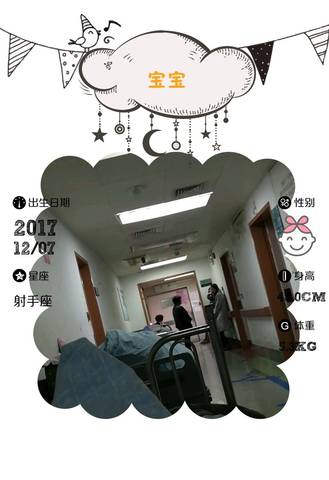 journal_insert_pic_900412179